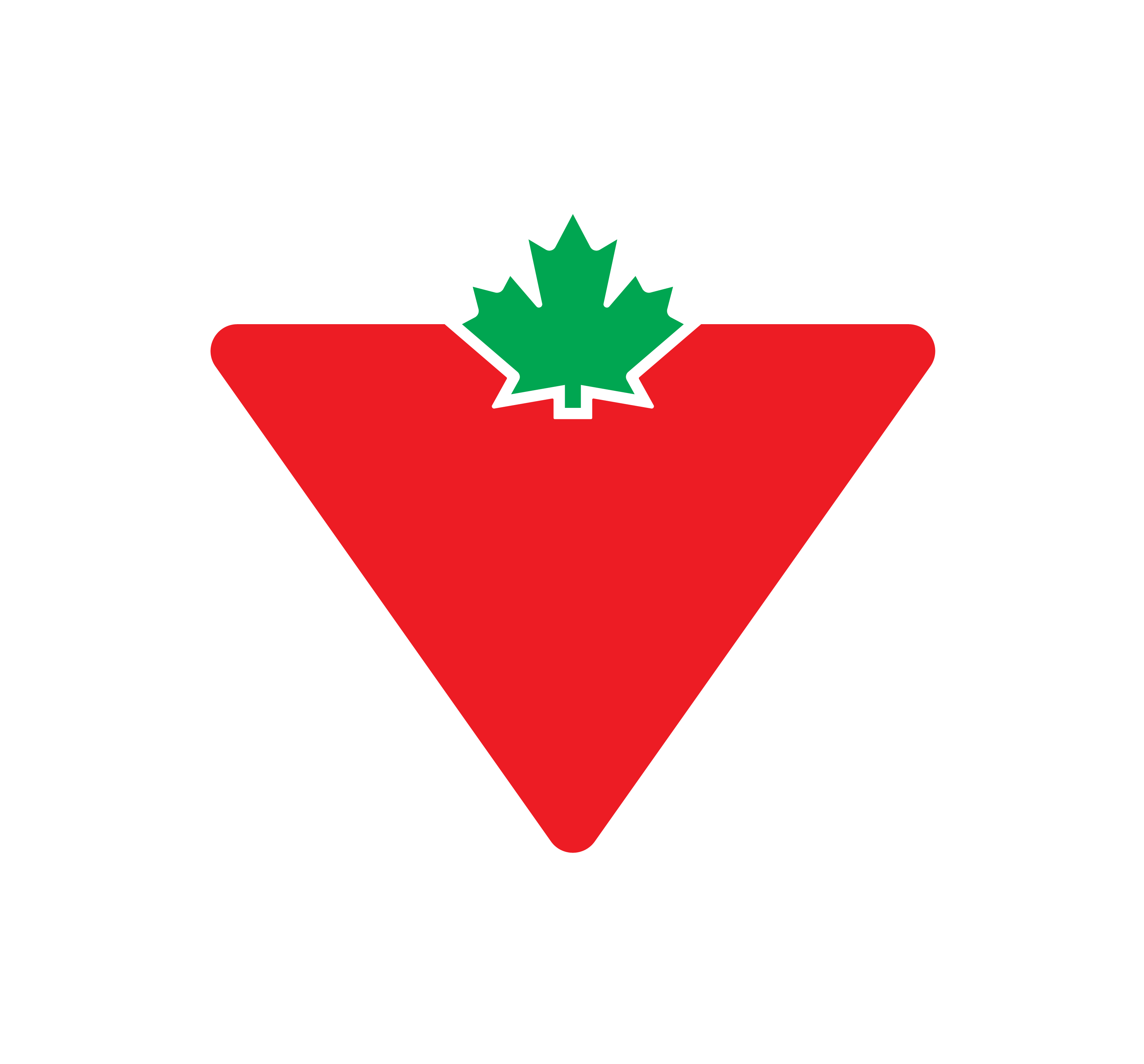 logo société canadian tire